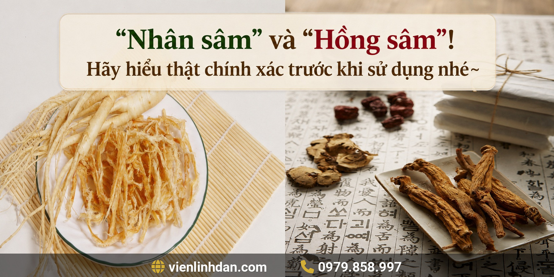 “Nhân sâm” và “Hồng sâm”! Hãy hiểu thật chính xác trước khi sử dụng nhé~