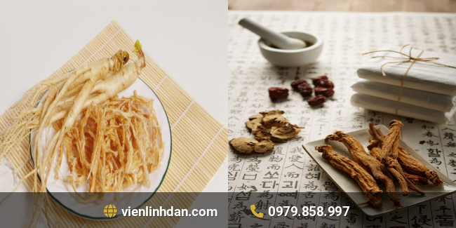 nhân sâm và hồng sâm